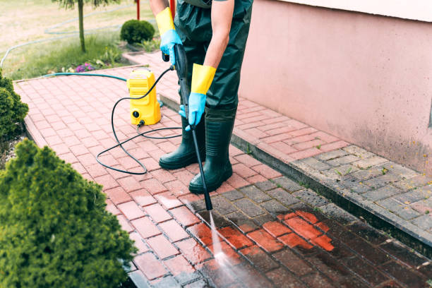 Best Roof Washing  in Manistee, MI